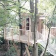 Envie d'une cabane dans un arbre ?