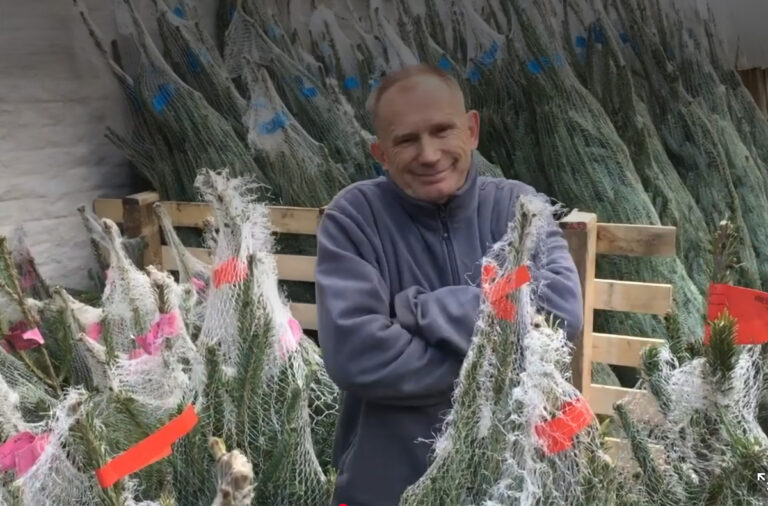 sapin : un achat solidaire… et pas plus cher !