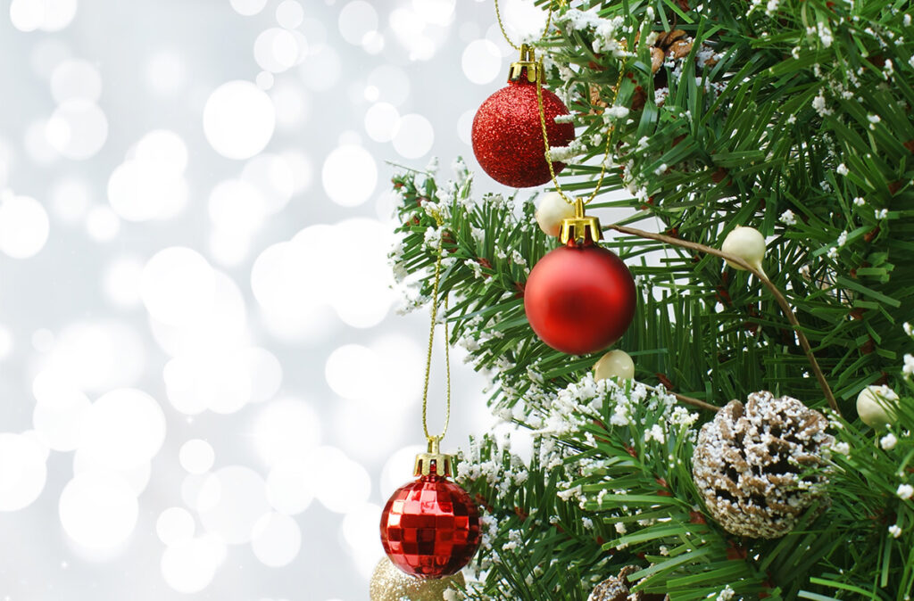 vente sapins de noel eta handicap bruxellesbackground