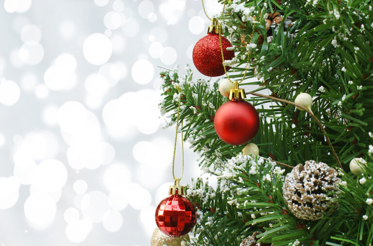 vente sapins de noel eta handicap bruxellesbackground