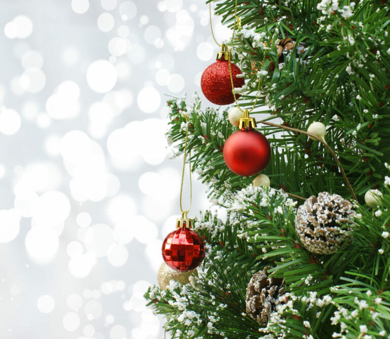 vente sapins de noel eta handicap bruxelles