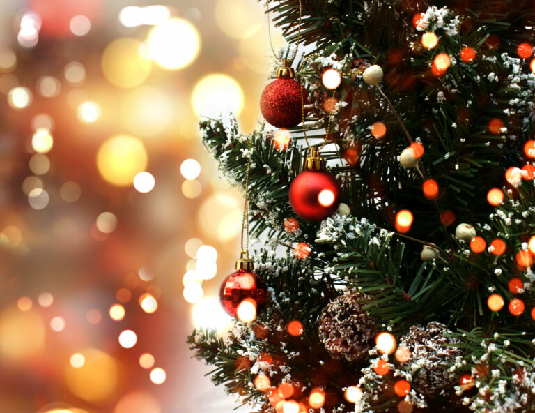 sapin noêl vente ETA bruxelles