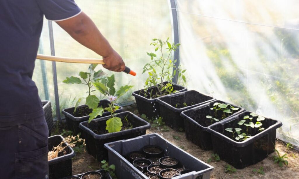 APRE potager