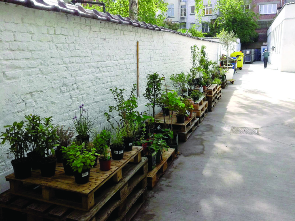 Citeco fait de la vente de plantes horticoles