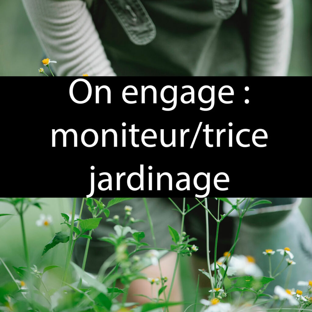 On engage un.e moniteur.trice jardinage - Les Jeunes Jardiniers