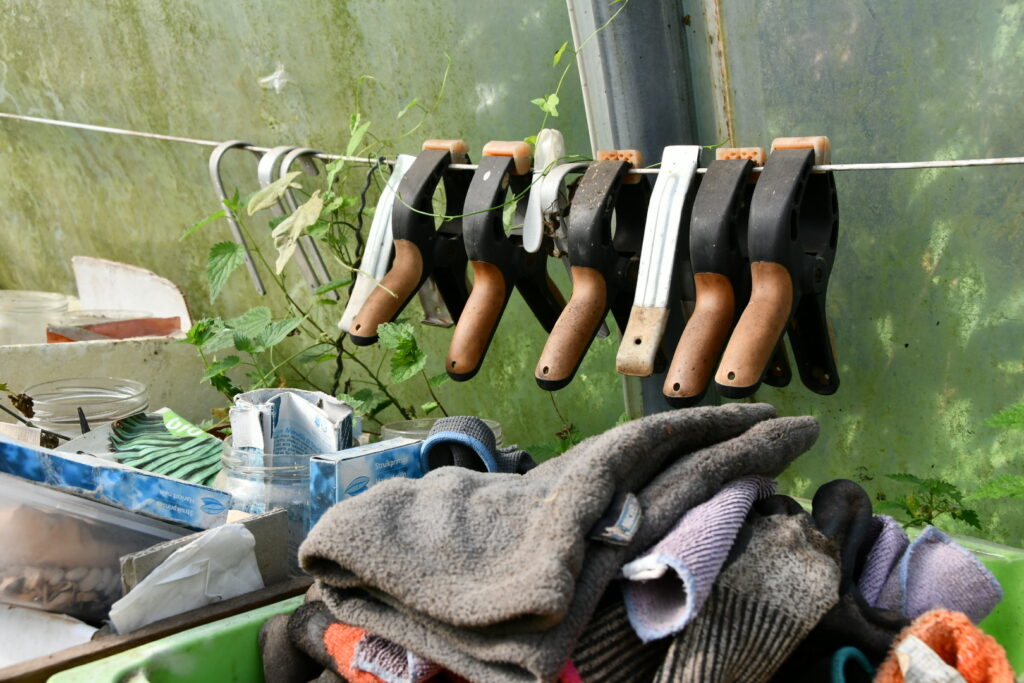 APRE Services prend en charge votre potager et jardin