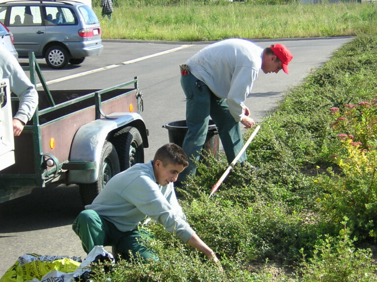 Equipe de jardiniers de La Ferme Nos Pilifs travaillant dans un jardin écologique