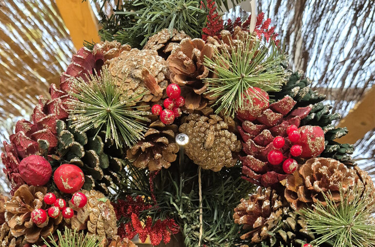 commande sapin noël bio local