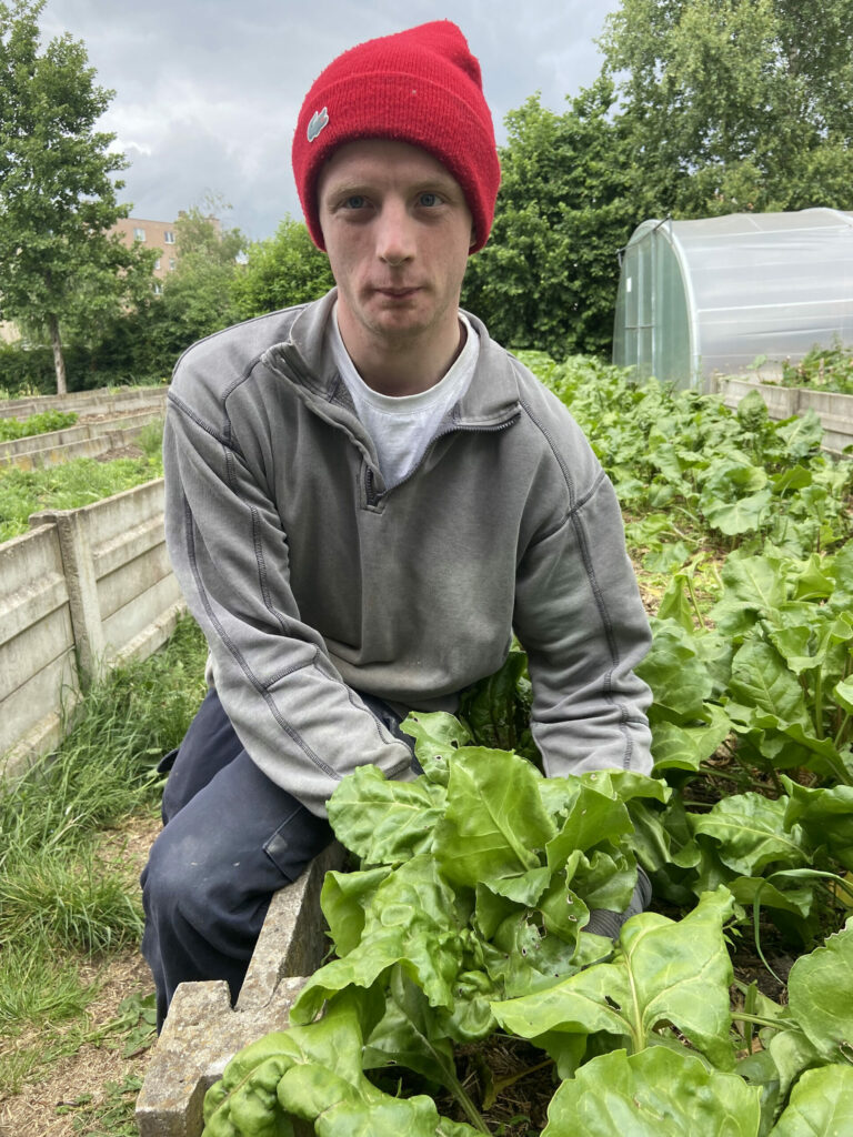 Taf - culture maraîchère urbaine en agriculture raisonnée