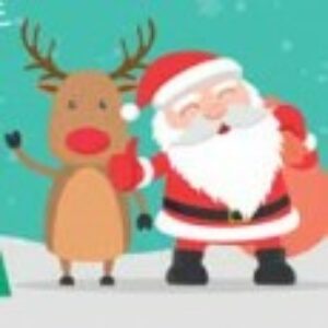 Votre sapin : un achat solidaire et pas plus cher !