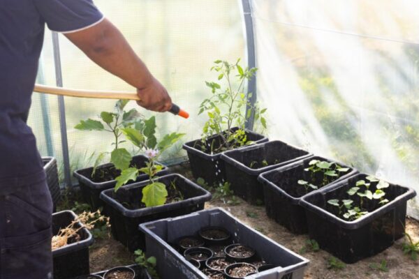 APRE potager