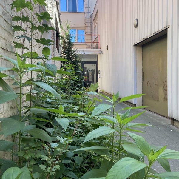 APRE Services - vos parterres et jardins