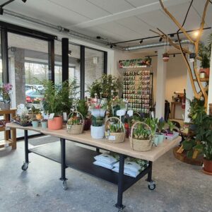 jardinerie-serre outil1