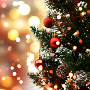 sapin noêl vente ETA bruxelles