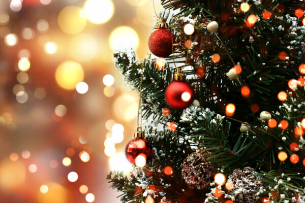 sapin noêl vente ETA bruxelles