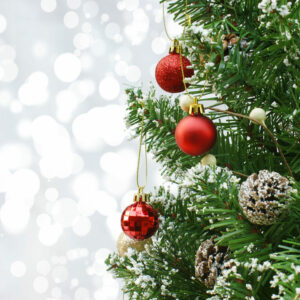 vente sapins de noel eta handicap bruxelles